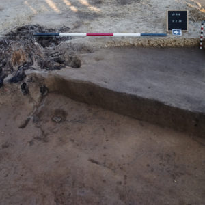 archaeologist crouching next to an excavated area cleared of topsoil