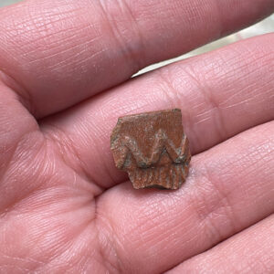 A fragment of the crown that adorned the pipe's bowl