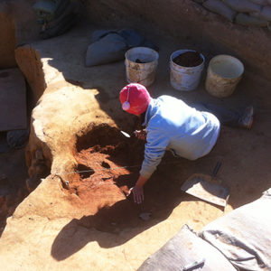 Archaeologist troweling in an excavation unit