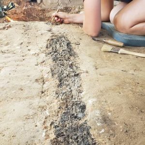 Archaeologist excavates dirt floor