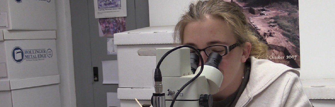 Conservator looking through a microscope