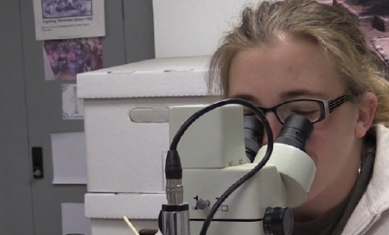 Conservator looking through a microscope