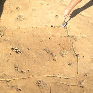 hand and trowel pointing to an outlined square posthole feature in an excavated area