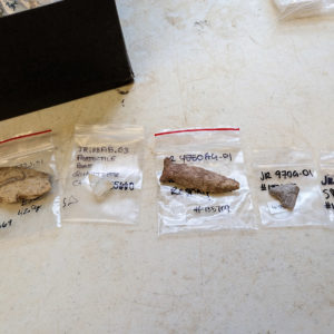 Some of the Virginia Indian projectile points being processed in the Vault.