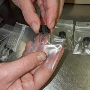 Tobacco seeds (the tiny black dots in the vial) found during Justine McKnight's analysis.