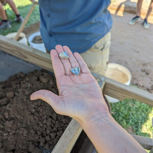 A couple of sherds of Chinese porcelain found during excavations in the north field.