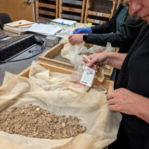 Curator Leah Stricker examines the heavy fraction of a soil sample near the Monument Church. Brick and plaster are prevalent.