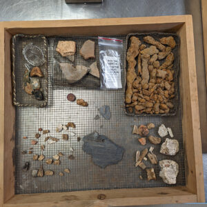 Some of the artifacts found in the north field dig. These objects span many different time periods of Jamestown's history.