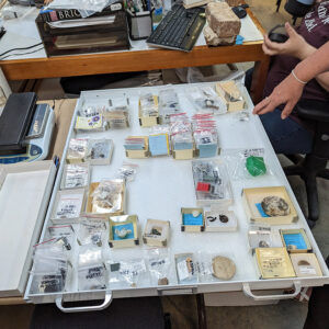 A tray of toys and gaming-related objects in the Jamestown collection