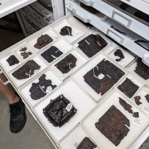 Lock parts in the dry room. These were sometimes refashioned as brigandine armor pieces.