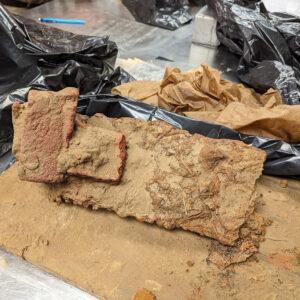 The saw blade found in the Governor's Well. It is concreted to brick fragments. Note the visible saw teeth along the bottom edge.