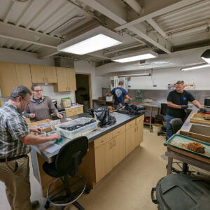 Members of the collections and conservation teams process artifacts found in the Governor's Well.