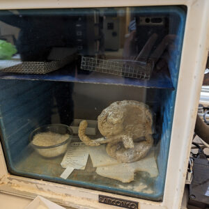 The swept sword hilt found by Staff Archaeologist Caitlin Delmas while water screening. It's being kept in a humidity-controlled container during conservation.