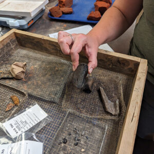 A burned cow hoof found in the Governor's Well