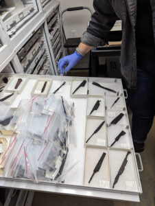 Iron knife blades in Jamestown Rediscovery's "Dry Room" where temperature and humidity are carefully controlled and monitored.