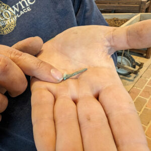 A copper alloy aglet found while screening soil from the Church Tower excavations