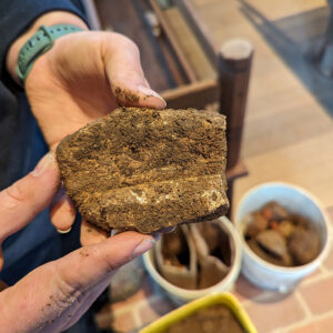 A piece of plaster found during the Church Tower excavations. Note the horizontal impressions made by a coupled structural element.