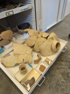 Partial olive jars in the Vault