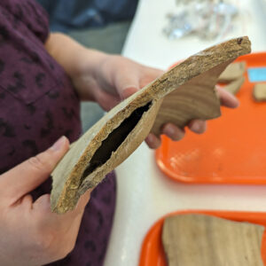 Curatorial Assistant Lauren Stephens holds a sherd of a Spanish olive jar found at Jamestown. A bubble manufacturing flaw is evident.