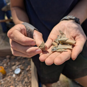 Site Supervisor Anna Shackelford holds a sherd of the train pipe bowl found in front of the Archaearium.