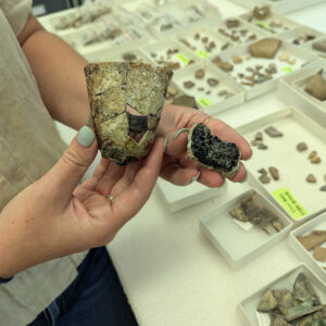 Two partial crucibles. Note the black residue on the right fragment.