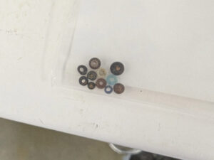Some tiny beads found by archaeological and curatorial staff while picking through objects found during the Seawall excavations of 2021.