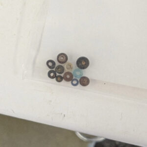 Some tiny beads found by archaeological and curatorial staff while picking through objects found during the Seawall excavations of 2021.