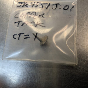 A copper tack is one of the artifacts found by volunteers picking through material from 2021's excavations near the Seawall.