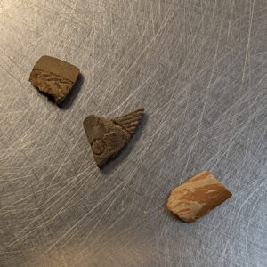 Pipe fragments found by volunteers picking through objects from 2021's Seawall excavations
