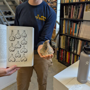 Staff Archaeologist Natalie Reid holds a partial wine bottle found in one of the squares just south of the Archaearium. The book at left shows wine bottle styles in the 17th and 18th centuries by year. These form trends help archaeologists and collections staff date the bottles (and possibly the features they were found in).