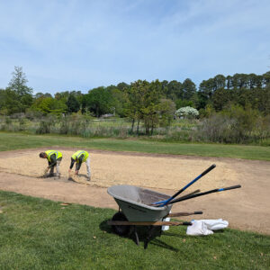 Grass is planted and straw laid down after the backfilling of the north field excavations.