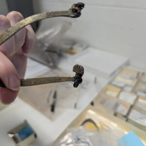 A scallop-shaped stud of a copper alloy spur