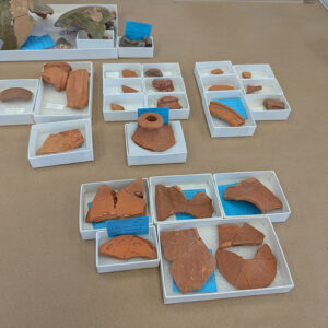 Portuguese coarseware sherds under consideration for inclusion in the oversized storage cabinet