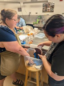 Assistant Curator Lauren Stephens lends a hand to Assistant Conservator Jo Hoppe, supporting the Midlands purple butter pot while the adhesive cures.
