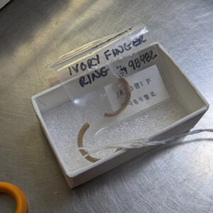 An ivory finger ring being conserved by Assistant Conservator Jo Hoppe. The ring was found in a fort-period cellar near the center of James Fort.