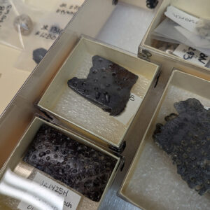 Examples of sieves through which lead was poured to make small shot