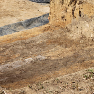 parallel soil stains running the length of an excavation unit