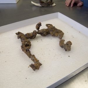 Rusted horse bridal bit in a tray