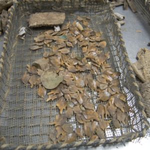 Fish scales in a wire and rope tray