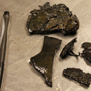 Wet leather shoe fragments on a lab table next to a pen for scale