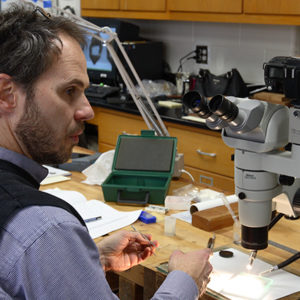 man sitting in front of a microscope at a lab table