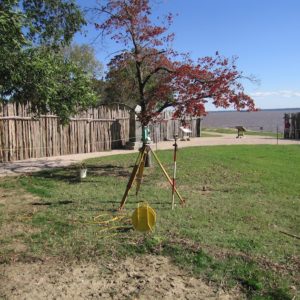 Transit standing in an area of grass in front of a path and palisade