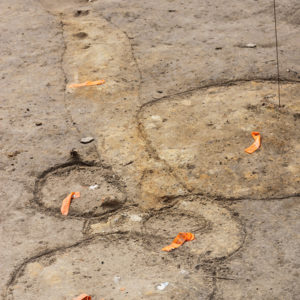 Excavated circular and trench features with outlined edges and marked with with orange tags and a flag