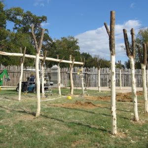 Y-shaped wooden posts spaced for a building frame