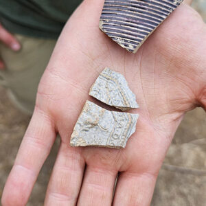 Sherds from the Westerwald jug celebrating the reign of Mary II, Queen of England. These sherds were found by the field school students.