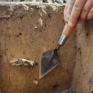 A pipe bowl fragment sticking out of the dirt at the west ditch excavations