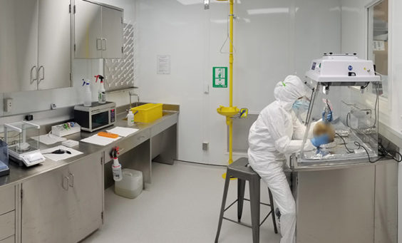 Dr. Raquel Fleskes sampling an early Jamestown colonist in the Bolnick lab at Beach Hall, University of Connecticut.