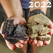 2022