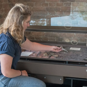 woman places artifacts in a museum case