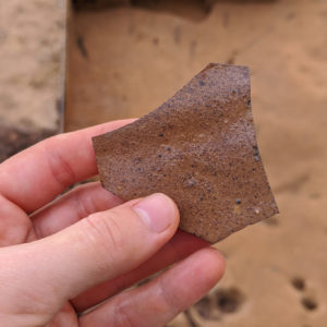 hand holding a ceramic sherd